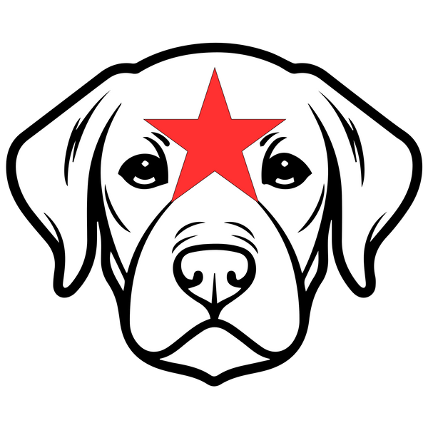 Stardog Wear